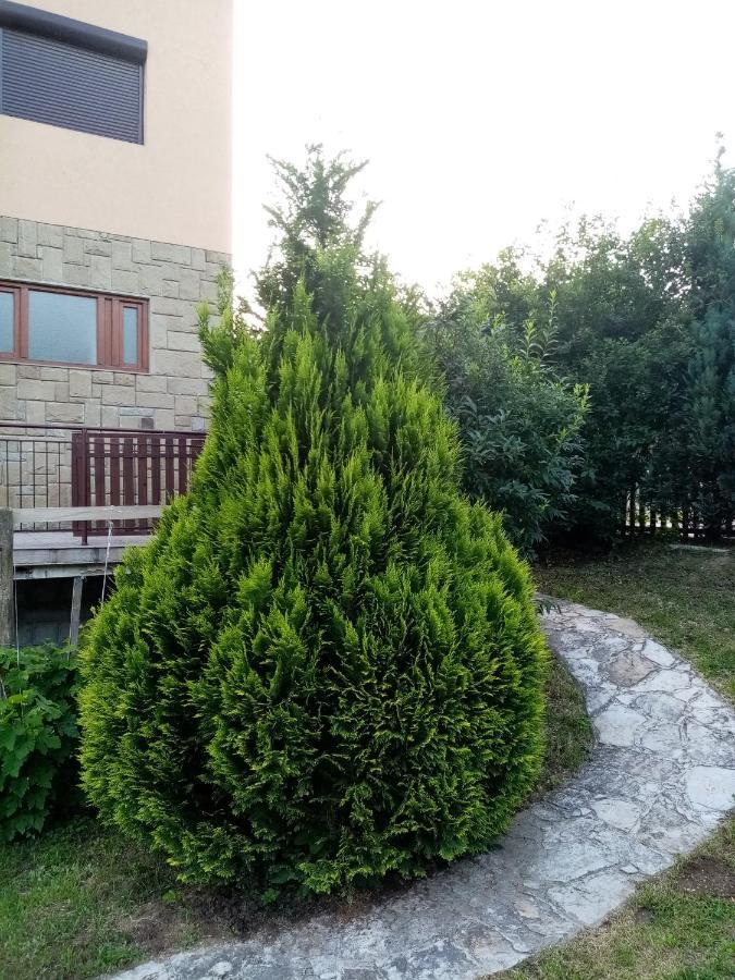 Guesthouse Smiljanic Slavkovica Экстерьер фото