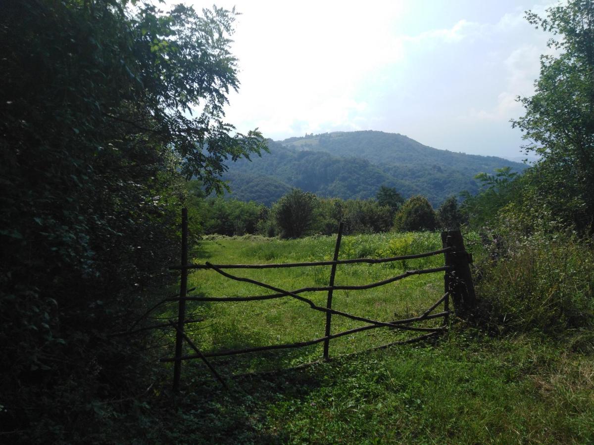 Guesthouse Smiljanic Slavkovica Экстерьер фото